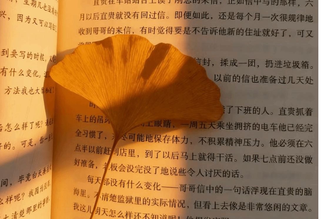 pg电子赏金船5个夺宝限时优惠