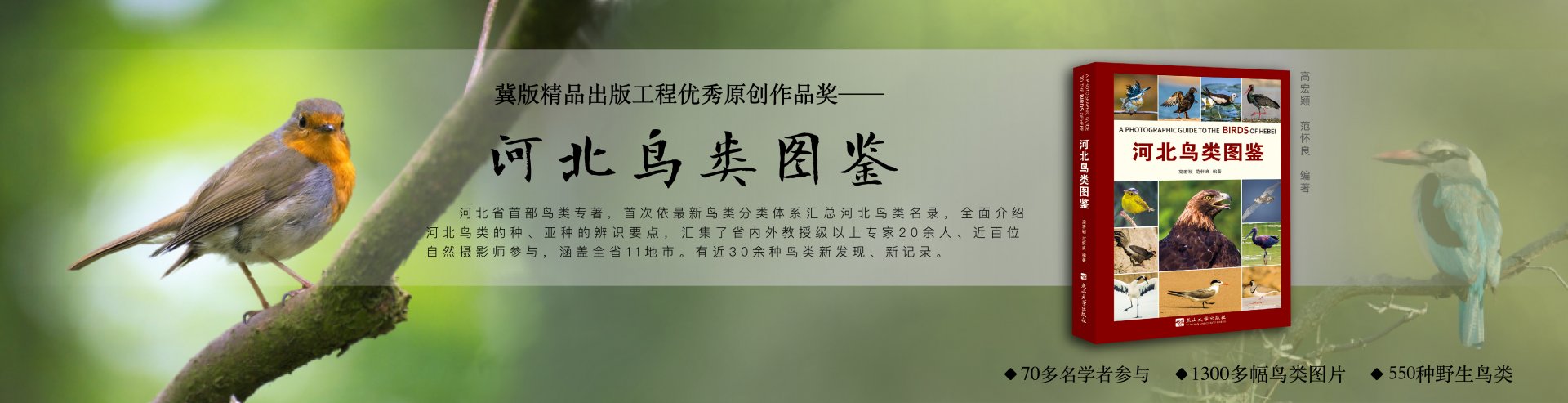 pg电子赏金船5个夺宝