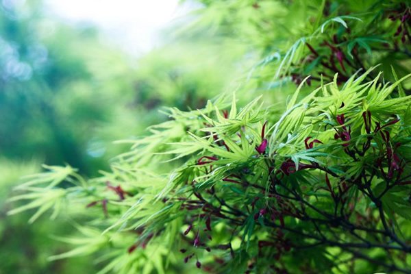 硕士生 网上报名